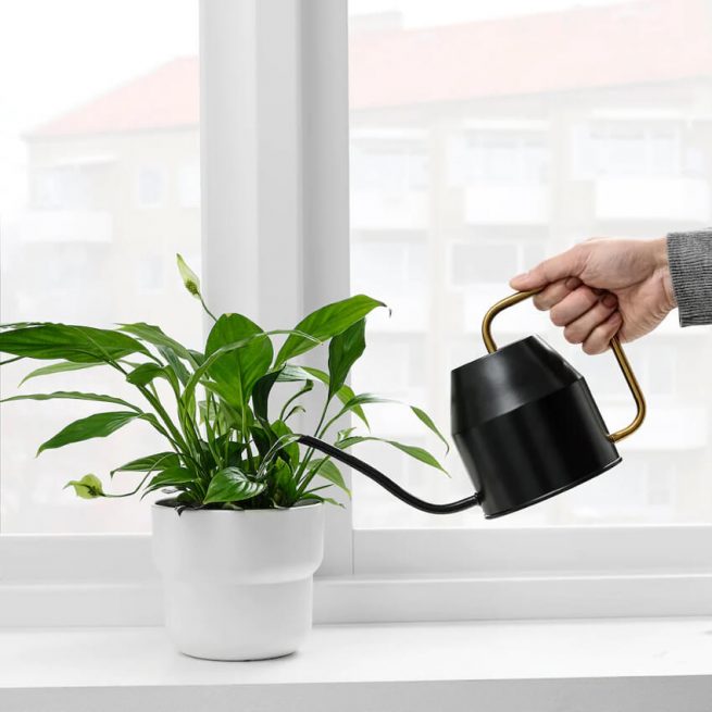 Watering can