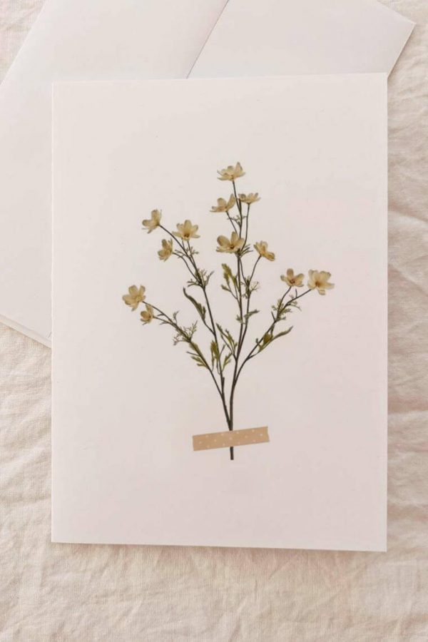 Dried Flower Card