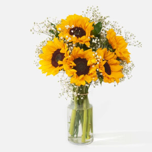 cat-floral-sunflowers