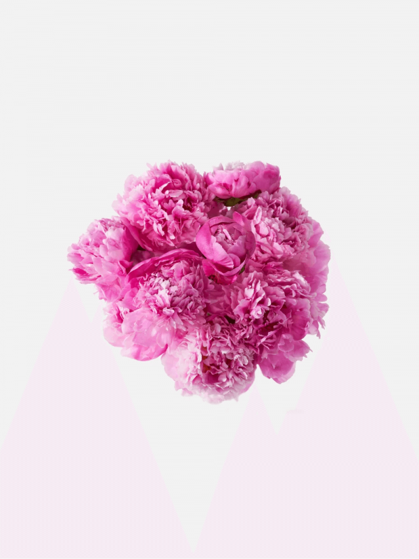 product_floral_2a
