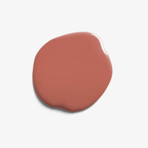 Coral Pink Paint